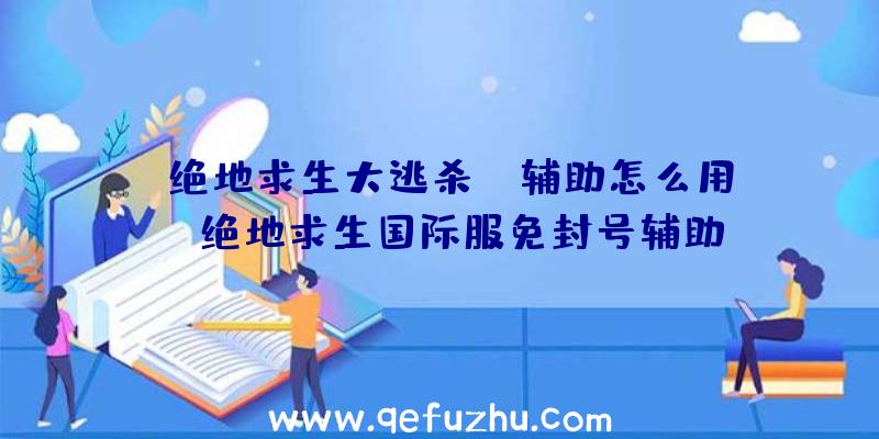 「绝地求生大逃杀aj辅助怎么用」|绝地求生国际服免封号辅助